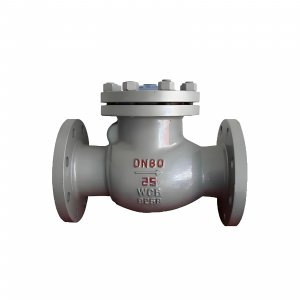 DN50 PN25 介質(zhì)：甲胺，溫度：80℃止回閥